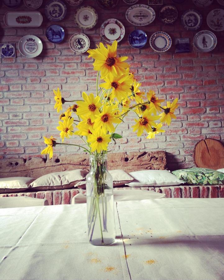 Agriturismo Agronauta Villa Piozzano Екстериор снимка